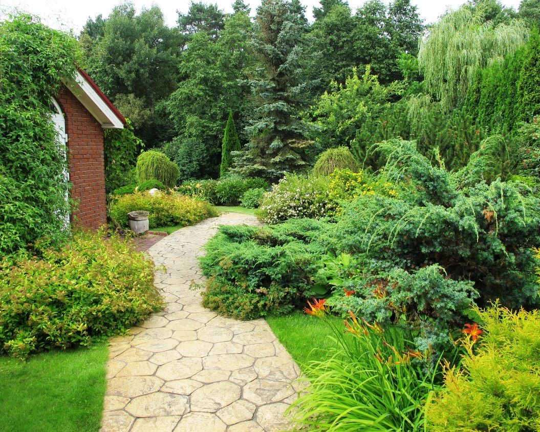 Ливадия на Истре